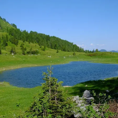 Casa Della Rosa Dolomites Experience Гостевой дом Виго-ди-Кадоре