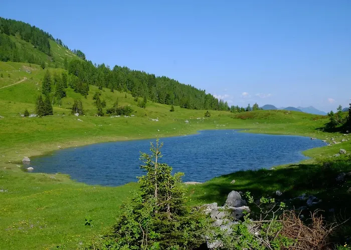 Casa Della Rosa Dolomites Experience Πανσιόν Vigo di Cadore